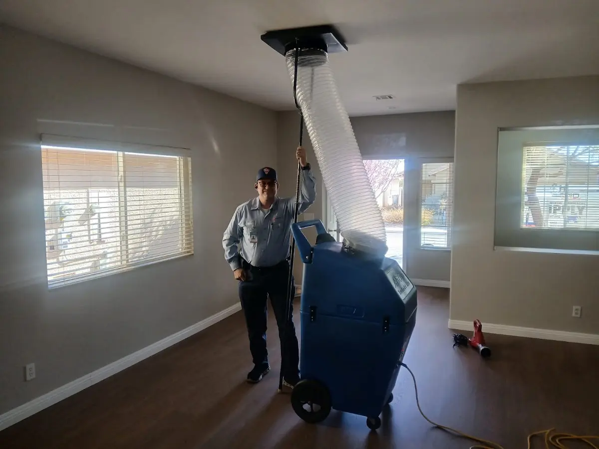 Professional Dryer Vent Cleaning work inside a Allendale home